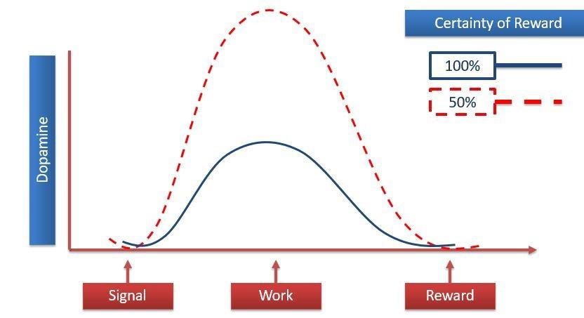 Impact of predictable rewards on the dopamine surge of users