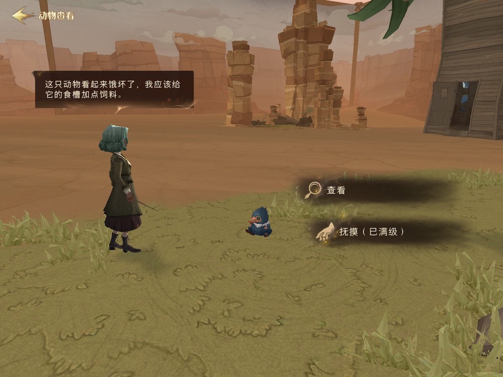 One of the desert home systems allows players to decorate the area and interact with their Magical Beasts (pets).